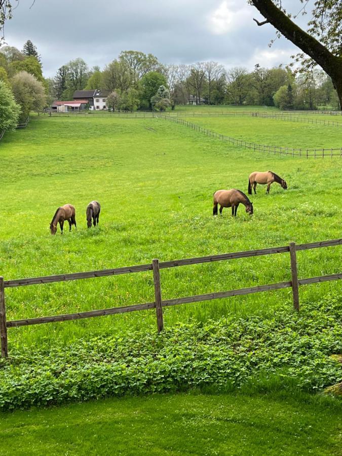 Herrenhaus - Starnberger See - Ammerland Münsing Exteriér fotografie