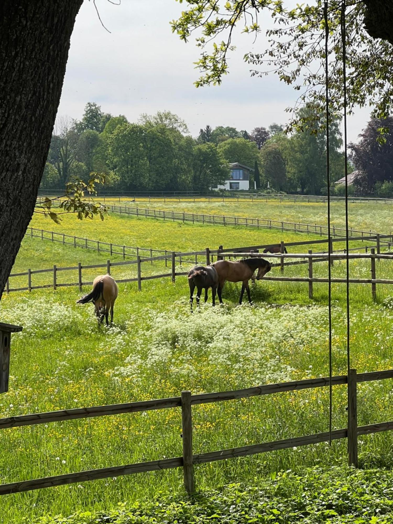 Herrenhaus - Starnberger See - Ammerland Münsing Exteriér fotografie