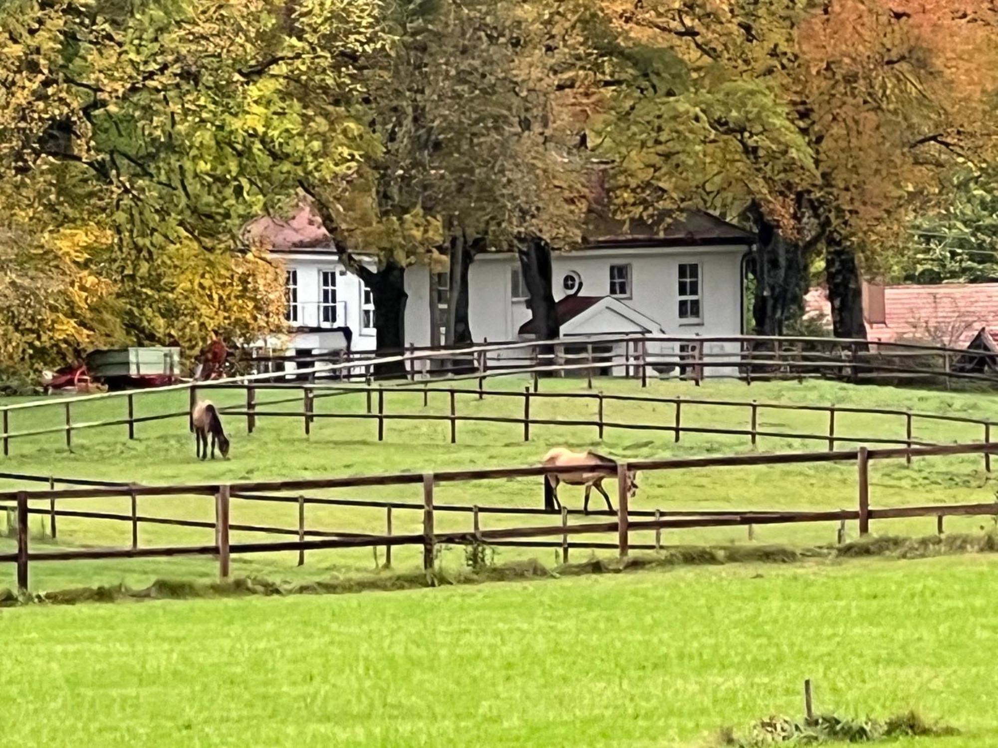 Herrenhaus - Starnberger See - Ammerland Münsing Exteriér fotografie