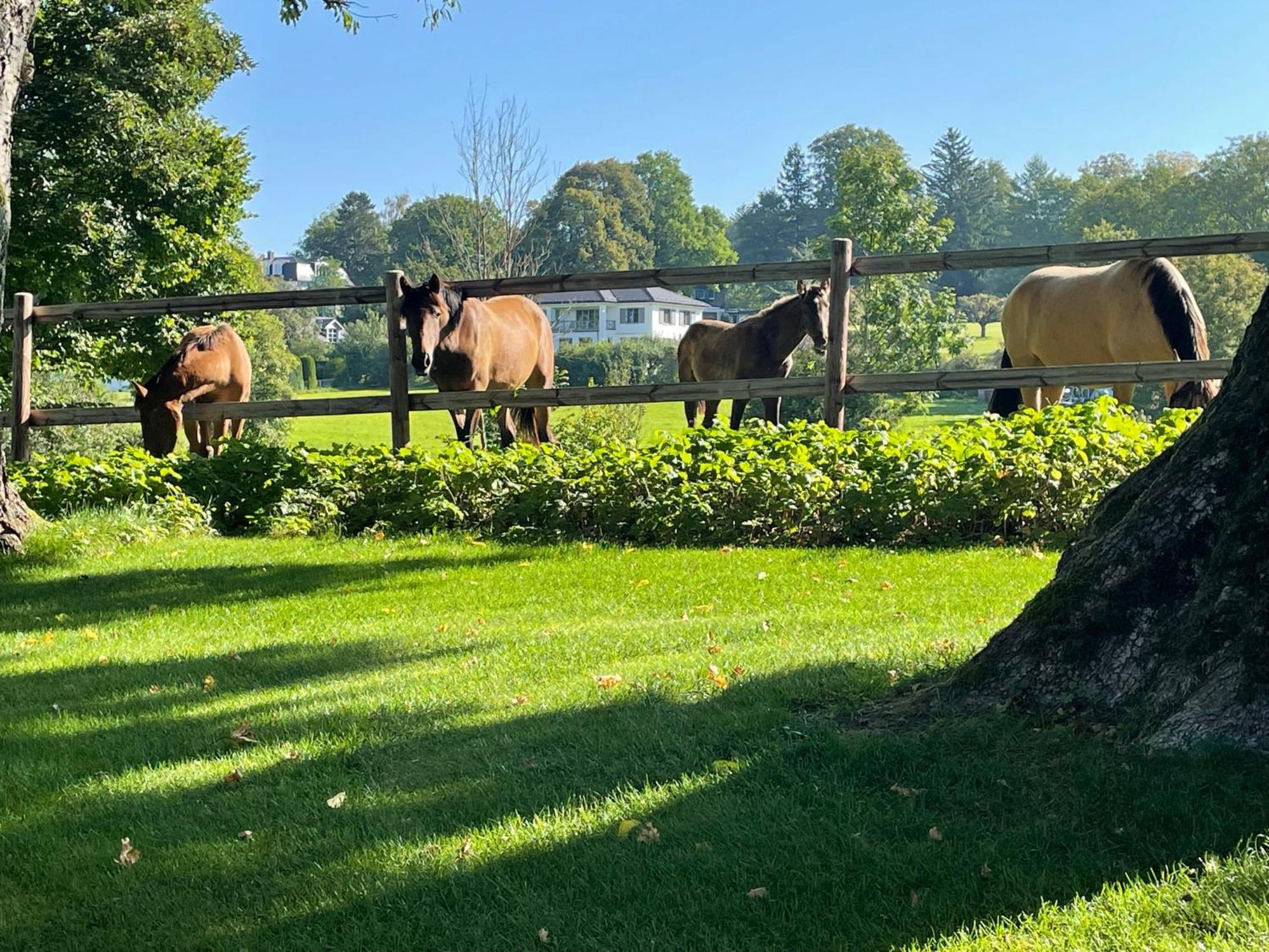 Herrenhaus - Starnberger See - Ammerland Münsing Exteriér fotografie
